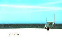 Venice Beach